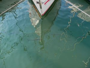 Peter Rohwer Waller2 nicht in Sicht